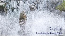  Presentation with water fountain - Beautiful PPT layouts featuring water fountain in chinese garden backdrop and a sky blue colored foreground