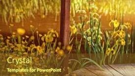  Presentation with water - Audience pleasing PPT theme consisting of water-garden-with-old-wooden backdrop and a tawny brown colored foreground