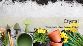  Presentation with gardening - Slide set having water hyacinth - composition with flowers and gardening background and a yellow colored foreground