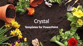  Presentation with water soil - Slide set with water hyacinth - composition with flowers and gardening background and a wine colored foreground