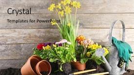  Presentation with gardening - Presentation theme enhanced with water hyacinth - composition with flowers and gardening background and a  colored foreground
