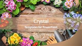  Presentation with gardening tools on fertile soil - Beautiful theme featuring water hyacinth - frame of spring flower backdrop and a coral colored foreground