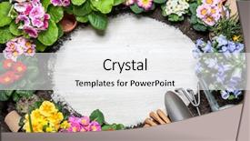  Presentation with spring water - Colorful PPT layouts enhanced with water hyacinth - frame of spring flower backdrop and a white colored foreground