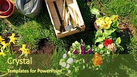  Presentation with garden - Theme having water hyacinth - freshly planted flowers in garden background and a tawny brown colored foreground