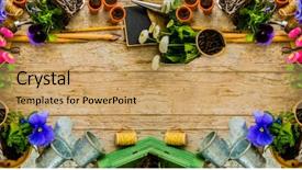  Presentation with garden tools - Cool new slide deck with water hyacinth - garden tools flowers and seeds backdrop and a coral colored foreground