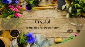  Presentation with garden tools - Theme with water hyacinth - garden tools flowers and seeds background and a coral colored foreground