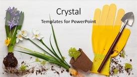  Presentation with flower pots - Colorful presentation design enhanced with water hyacinth - gardening concept with spring flowers backdrop and a white colored foreground