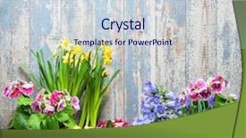  Presentation with gardening - Beautiful presentation featuring water hyacinth - gardening tools and flowers backdrop and a lemonade colored foreground