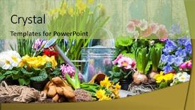  Presentation with gardening - Colorful slides enhanced with water hyacinth - gardening tools and flowers backdrop and a yellow colored foreground
