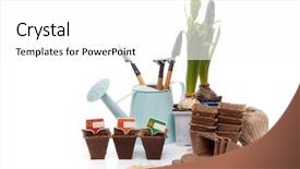  Presentation with tablets wood table tablet white - Cool new PPT theme with water hyacinth - gardening tools watering can peat backdrop and a white colored foreground