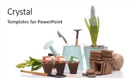  Presentation with tablets - Theme having water hyacinth - gardening tools watering can peat background and a white colored foreground