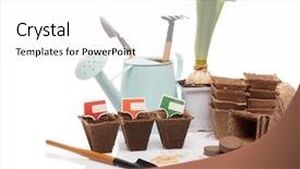  Presentation with tablets wood table tablet white - Beautiful slide deck featuring water hyacinth - gardening tools watering can peat backdrop and a  colored foreground