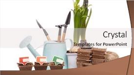  Presentation with tablets - Amazing presentation design having water hyacinth - gardening tools watering can peat backdrop and a light gray colored foreground