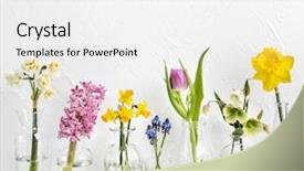  Presentation with spring water - Slide deck with water hyacinth - spring flowers in different glass background and a white colored foreground