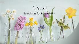  Presentation with spring water - Cool new PPT layouts with water hyacinth - spring flowers in different glass backdrop and a sky blue colored foreground