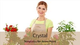 Presentation with white house - Presentation theme having water hyacinth - woman florist watering beautiful house background and a coral colored foreground