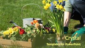  Presentation with planting technology - Presentation theme featuring water hyacinth - woman planting flowers in garden background and a tawny brown colored foreground