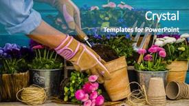  Presentation with planting technology - Slides with water hyacinth - work in the garden planting background and a teal colored foreground