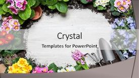  Presentation with spring water - PPT theme enhanced with water hyacinth pot - frame of spring flower background and a white colored foreground