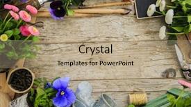  Presentation with garden tools - Presentation design featuring water hyacinth pot - garden tools flowers and seeds background and a coral colored foreground