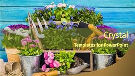  Presentation with garden tools - Theme featuring water hyacinth pot - garden tools flowers background and a tawny brown colored foreground