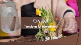  Presentation with spring - Amazing presentation design having water hyacinth pot - gardener planting spring flower backdrop and a coral colored foreground