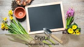  Presentation with gardening tools on fertile soil - Beautiful presentation theme featuring water hyacinth pot - gardening tools and flowers backdrop and a coral colored foreground