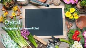  Presentation with gardening tools on fertile soil - Colorful slides enhanced with water hyacinth pot - gardening tools and flowers backdrop and a ocean colored foreground