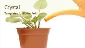  Presentation with plant - Cool new presentation theme with water implants - closeup hand watering a plant backdrop and a soft green colored foreground