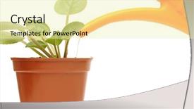  Presentation with plant - Presentation having water implants - closeup hand watering a plant background and a blonde colored foreground