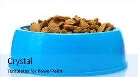  Presentation with blue food - Presentation theme having water in blue bowl background and a cyan colored foreground