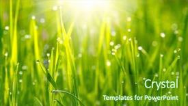  Presentation with grass - Beautiful PPT theme featuring water land - green grass sunset backdrop and a tawny brown colored foreground