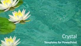  Presentation with turquoise - Colorful theme enhanced with water lillies on turquoise pool backdrop and a ocean colored foreground