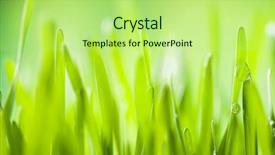  Presentation with fresh water - Beautiful PPT theme featuring water low depth of focus backdrop and a mint green colored foreground