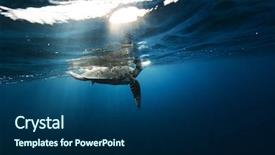  Presentation with flora fauna - Cool new presentation theme with water marine life underwater fauna backdrop and a navy blue colored foreground
