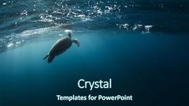  Presentation with dark blue - PPT theme consisting of water marine life underwater fauna background and a navy blue colored foreground