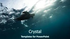  Presentation with dark blue - PPT layouts having water marine life underwater fauna background and a navy blue colored foreground