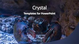  Presentation with under water - Cool new PPT theme with water on a rocky backdrop and a dark gray colored foreground