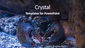  Presentation with under water - Slide set featuring water on a rocky background and a wine colored foreground