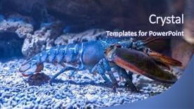  Presentation with under water - Cool new slide deck with water on a rocky backdrop and a ocean colored foreground