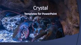  Presentation with under water - PPT theme enhanced with water on a rocky background and a wine colored foreground