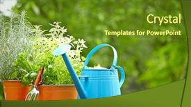  Presentation with gardening - Audience pleasing PPT theme consisting of water plant - concept of gardening and hobby backdrop and a tawny brown colored foreground