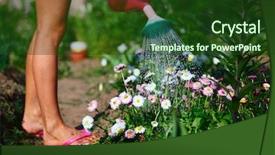  Presentation with lady - Presentation theme with water plant - lady watering flowers background and a tawny brown colored foreground
