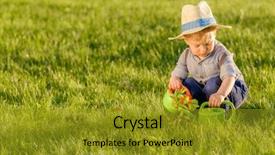  Presentation with child brain baby brain - PPT theme featuring water plant - portrait of toddler child outdoors background and a gold colored foreground