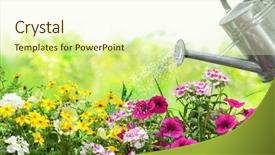 Presentation with garden - PPT layouts featuring water plant - watering flowers with a watering background and a soft green colored foreground