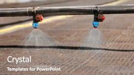  Presentation with greenhouse - Audience pleasing slides consisting of water plant - watering seedlings in greenhouse backdrop and a gray colored foreground