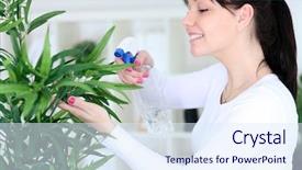  Presentation with young plant - Slide set consisting of water plant - young woman cultivating flowers background and a sky blue colored foreground