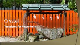  Presentation with water purification - Amazing slide deck having  backdrop and a  colored foreground