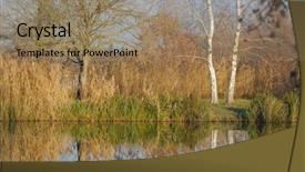  Presentation with tree sky trees green - Beautiful PPT theme featuring water reed - calm lake surface with trees backdrop and a coral colored foreground