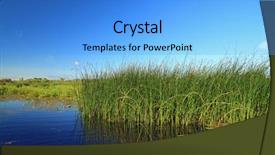 Presentation with marsh - Slide deck enhanced with water reed - marsh herb background and a light blue colored foreground